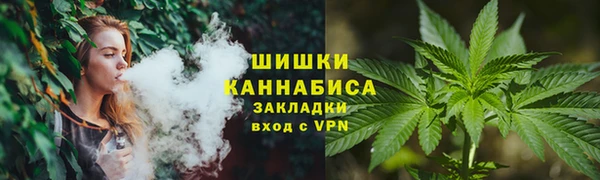 прущие грибы Гусев