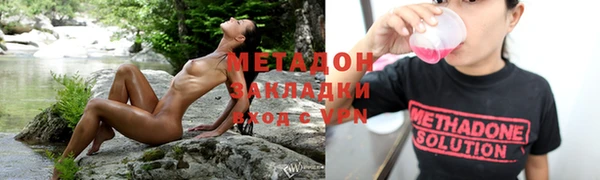 ПСИЛОЦИБИНОВЫЕ ГРИБЫ Горно-Алтайск