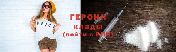 прущие грибы Гусев