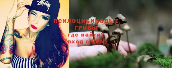 сатива Гусиноозёрск