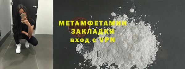 прущие грибы Гусев