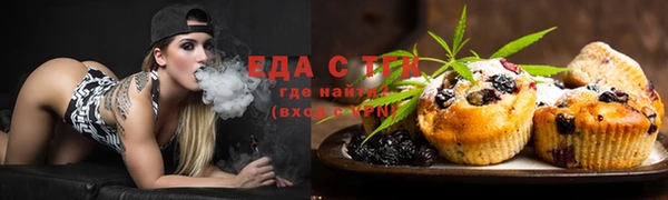 ПСИЛОЦИБИНОВЫЕ ГРИБЫ Горно-Алтайск