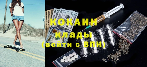 ПСИЛОЦИБИНОВЫЕ ГРИБЫ Горно-Алтайск