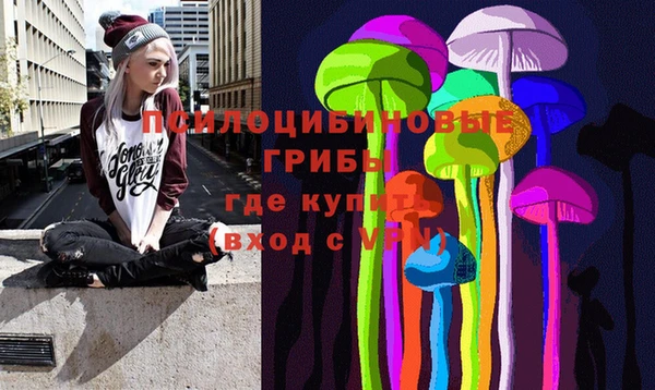 ПСИЛОЦИБИНОВЫЕ ГРИБЫ Горно-Алтайск