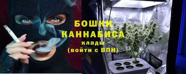 прущие грибы Гусев