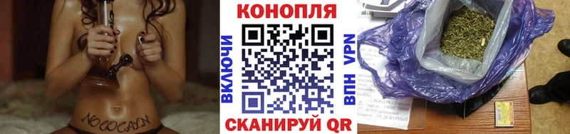 Каннабис планчик Малаховка